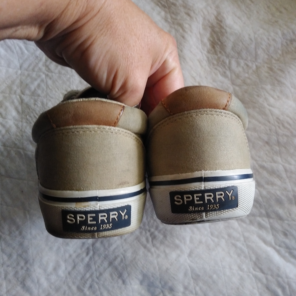 Canvas Sperry Shoes - Picture 3 of 6